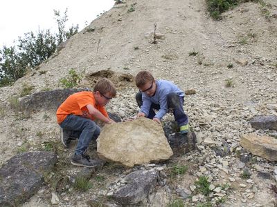 Erlebnissteinbruch Hainholz - Fossiliensuche